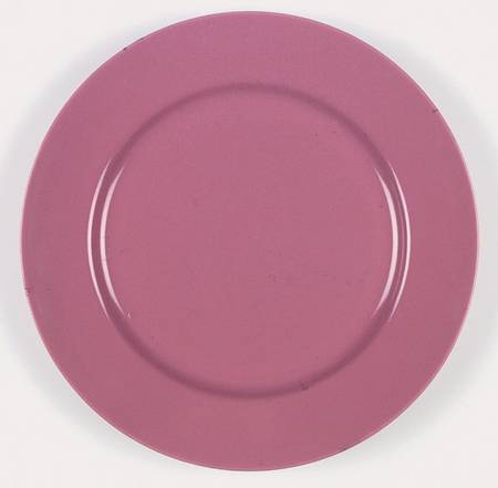 Total Color Spectrum Raspberry (Round) Dinner Plate by Fitz & Floyd