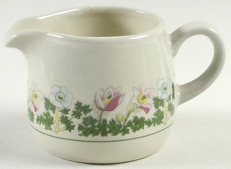 Anitra Creamer