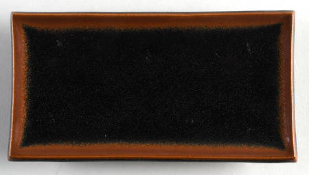 FIT22 Sushi Tray