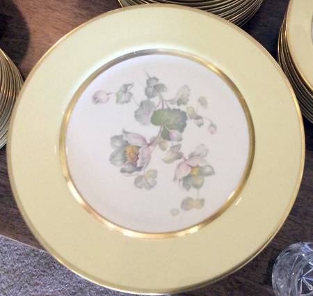 Anemone Yellow by Flintridge