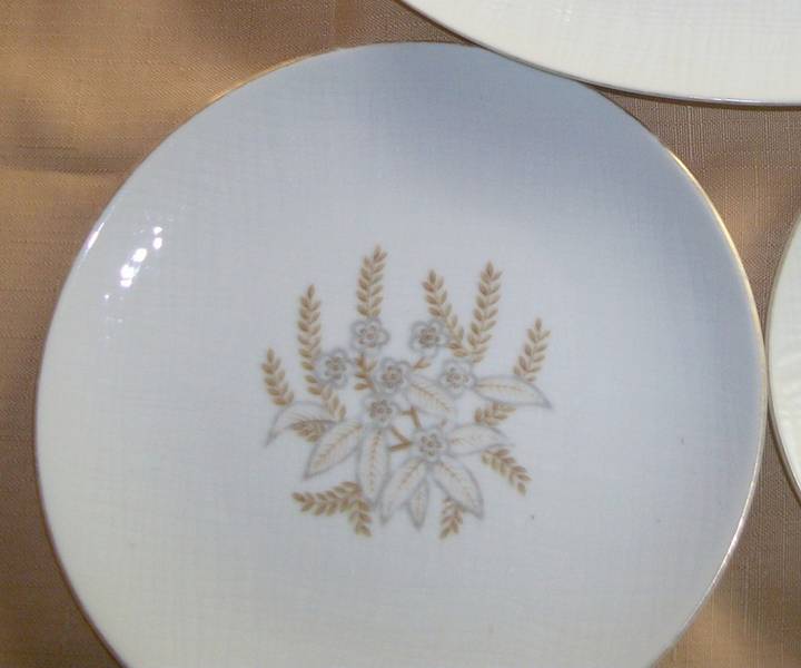Forget Me Not Dinner Plate