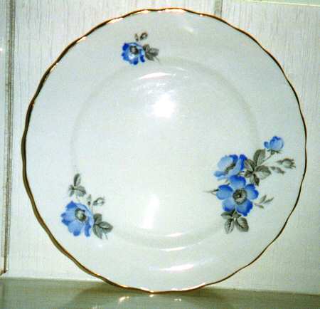 FNT3 Salad Plate
