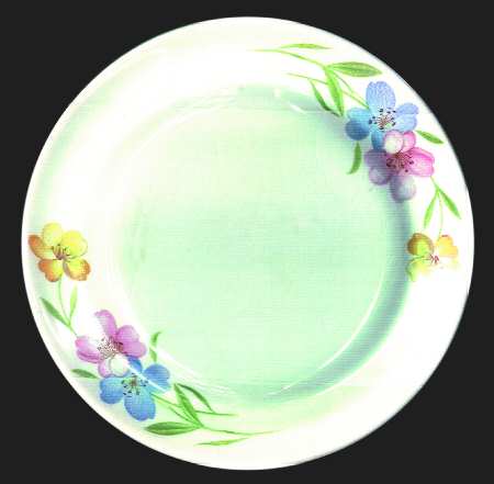 FSX64 Salad Plate
