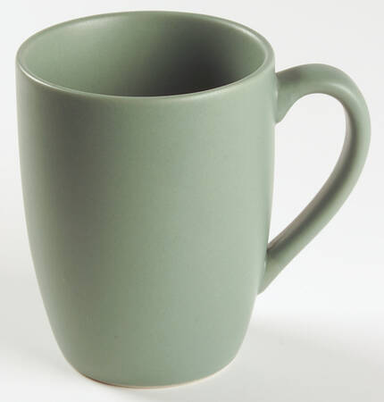 Worldview Jade Mug