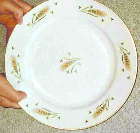 FUJ11 Dinner Plate