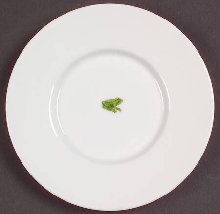 Imperial Fern Saucer