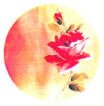 Biloxi Orange by Farberware