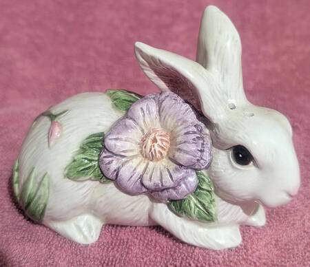Fauna And Flora Salt Shaker