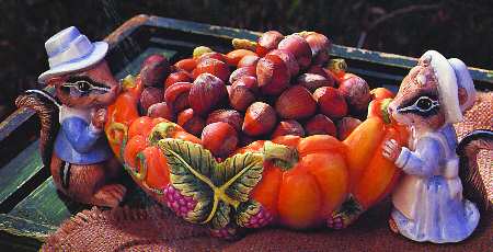 It's Harvest Time Cranberry Bowl