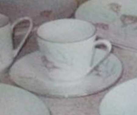 Huntington Rose Flat Cup & Saucer Set
