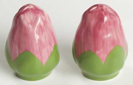 Desert Rose (China) Salt & Pepper Set