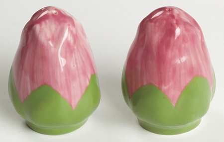 Desert Rose (China) Salt & Pepper Set
