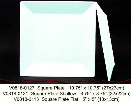 Plaza Square Dinner Plate