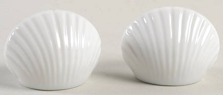 Total Color Spectrum White Individual Salt & Pepper Set