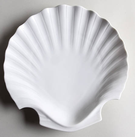 Total Color Spectrum White Shell Plate