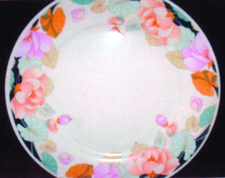 FCC186 by Fine China of China