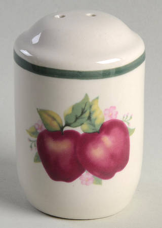 FSI3 Salt Shaker