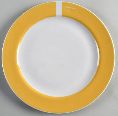 Pantone Dinner Plate
