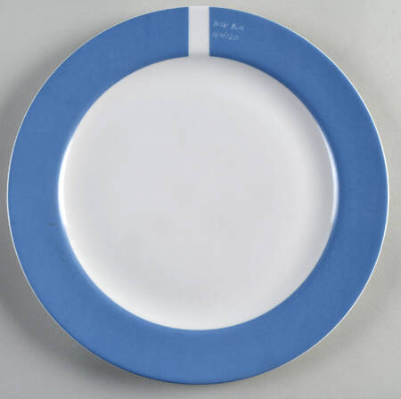 Pantone Dinner Plate