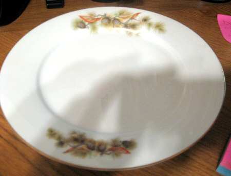 FST8 Dinner Plate