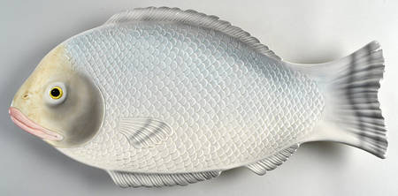 Fishes 19" Oval Serving Platter