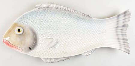 Fishes 24" Fish Platter