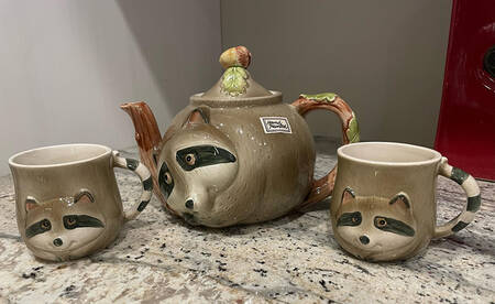 Raccoons Mug
