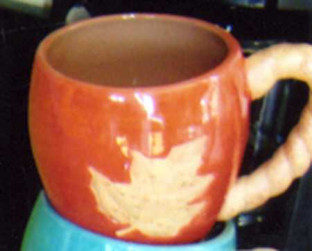 FSD4 Mug