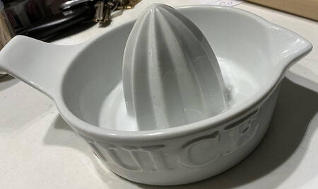 Everyday White (Porcelian) Juicer