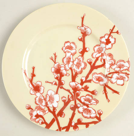 FIT37 Red Salad Plate