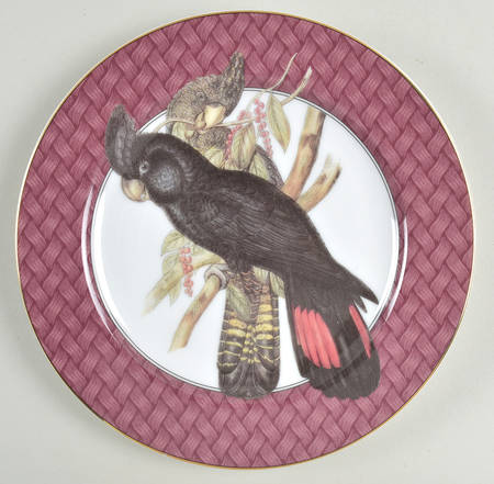 Oiseaux des Tropiques Salad Plate