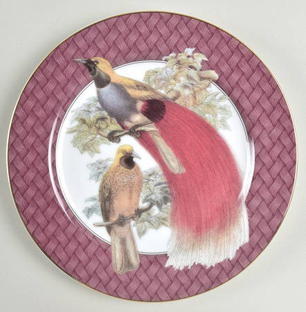 Oiseaux des Tropiques Salad Plate