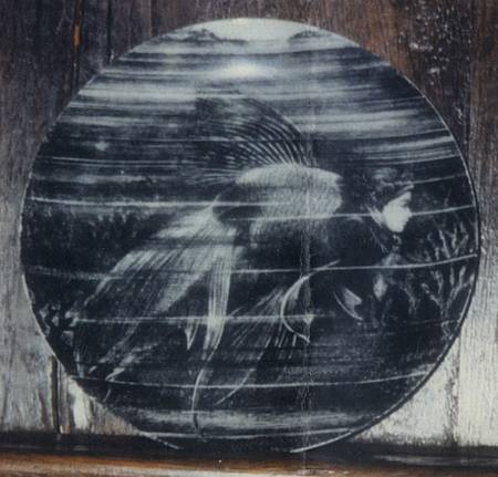 Sirene Salad Plate