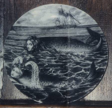 Sirene Salad Plate
