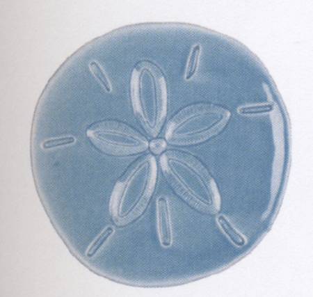 Cape Coral Figural Snack/Canape Plate