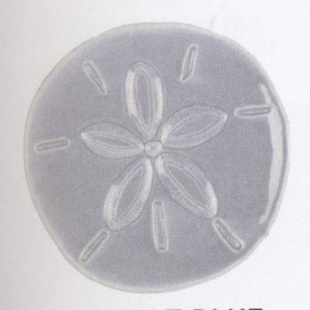 Cape Coral Figural Snack/Canape Plate