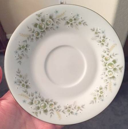 FST12 Dinner Plate