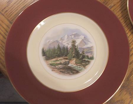FON143 Dinner Plate