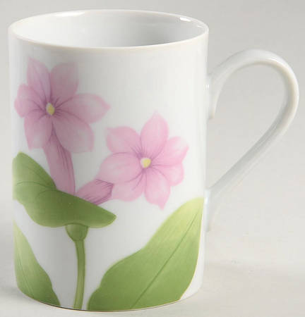 Fleurs Matinales Mug