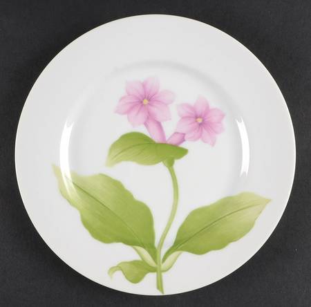 Fleurs Matinales by Fitz &amp; Floyd