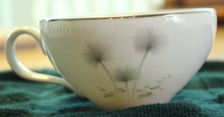 FCJ73 Flat Cup