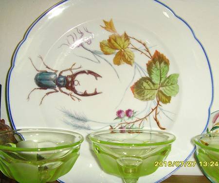 FIM11 Dinner Plate