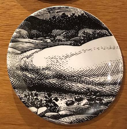 Adamo Coaster