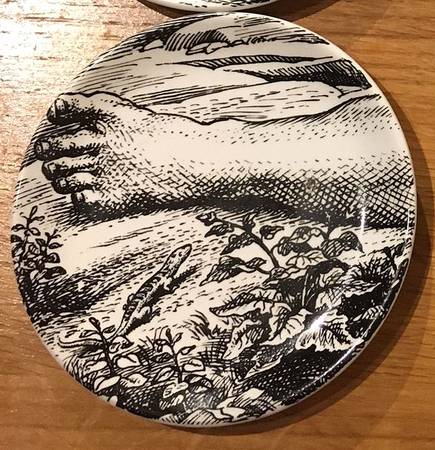 Adamo Coaster