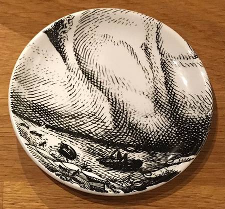 Adamo Coaster
