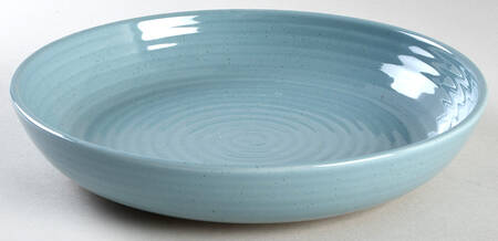 Farmstead Aqua Individual Dinner Bowl
