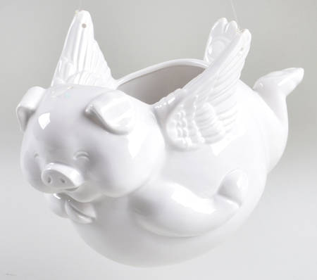 Cupig Hanging Planter
