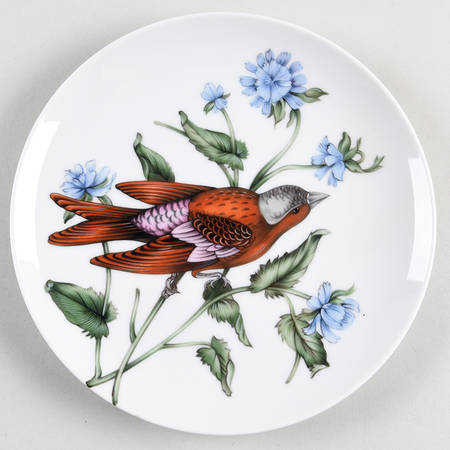 Songbirds Salad Plate