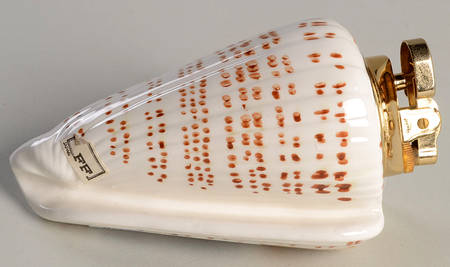 Conch Shell Cigarette Lighter