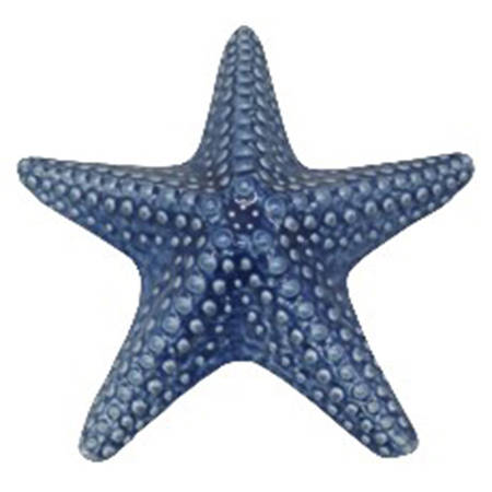 Coastal Home Starfish